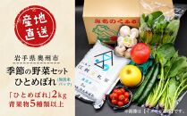江刺金札米ひとめぼれ 無洗パック米と岩手県産野菜セット