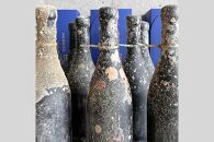 酒 泡盛 海底熟成泡盛「珊瑚の海」720ml 40度 3年古酒 (海底貯蔵1年物)｜