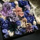 青いお花を集めたドライフラワーボックス/Sサイズ（福岡市）