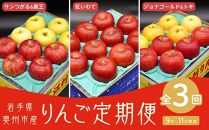 [数量限定]奥州市のりんご定期便・3回(9月〜11月) 江刺りんごやオリジナル品種の食べ比べコース