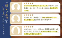 【ANDE】デニッシュ食パン&nbsp;プレーン・メープル・ショコラーデ各&nbsp;1斤サイズ&nbsp;3本セット