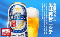 【6ヶ月定期便】新潟限定ビイル 風味爽快ニシテ（サッポロ）  350ml×24本