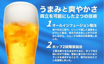 【6ヶ月定期便】新潟限定ビイル 風味爽快ニシテ（サッポロ） 500ml×24本