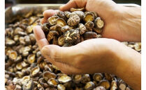 【永楽屋】京佃煮詰め合わせ&nbsp;永楽撰（ER-35）［&nbsp;京都&nbsp;河原町&nbsp;老舗&nbsp;&nbsp;あまから&nbsp;佃煮&nbsp;人気&nbsp;おすすめ&nbsp;ご飯のお供&nbsp;お取り寄せ&nbsp;通販&nbsp;送料無料&nbsp;ふるさと納税&nbsp;］