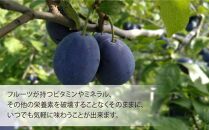 余市の砂川果樹園が贈る、完熟果物のフリーズドライ 4点【ポイント交換専用】