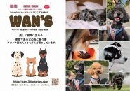 神戸生まれの 新鮮な無添加 ドライドッグフード 『WANS』2.3KG 2個セット