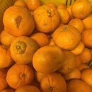 和歌山産&nbsp;不知火&nbsp;約3kg&nbsp;［家庭用］［US64］