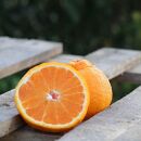 和歌山産&nbsp;不知火［12玉～24玉］秀品［US63］