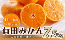 ［魚鶴商店厳選］和歌山人気の柑橘ご家庭用・訳あり定期便（みかん・不知火・清見オレンジ）［定期便全3回］［UT117］