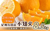 ［魚鶴商店厳選］和歌山人気の柑橘ご家庭用・訳あり定期便（みかん・不知火・清見オレンジ）［定期便全3回］［UT117］