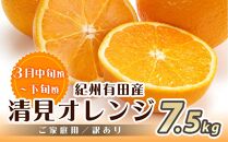 ［魚鶴商店厳選］和歌山人気の柑橘ご家庭用・訳あり定期便（みかん・不知火・清見オレンジ）［定期便全3回］［UT117］