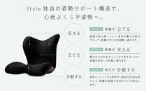 Style PREMIUM DX