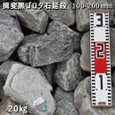 庭石  揖斐黒ゴロタ石延段（100-200mm） 1袋（約20kg）ゴロタ石 自然石 川石 玉石 ごろた