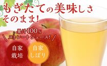 りんご ジュース セット 30本 × 180ml 大町産