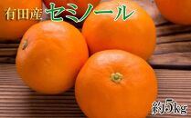 和歌山有田産セミノールオレンジ約5kg(サイズおまかせ　秀品) ★2024年4月中頃より順次発送【TM24】
