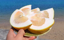 自然農　グレープフルーツ　4kg