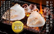 博多製造　九州産無添加やりいか一夜干し