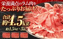 【全3回定期便／3ヵ月】ラムしゃぶしゃぶ 1.5kg 500g×3パック入【道産子の伝統食材】