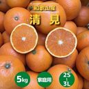 和歌山県産　有田の清見　約5kg　家庭用