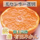 ＜先行予約＞樹上完熟有田みかん6.5kg+195g（傷み補償分）【光センサー選果】