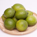 レモン1kg+250g（傷み補償分）［和歌山有田産］［防腐剤・WAX不使用、安心の国産レモン］［IKE128］