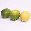 家庭用&nbsp;レモン5kg+250g（傷み補償分）【和歌山有田産】【防腐剤・WAX不使用、安心の国産レモン】【わけあり・訳ありレモン】［IKE126］