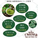 【福岡市 Soy Chocola】福岡産モリンガあんドーナツ 10個（100%植物性・グルテンフリー）