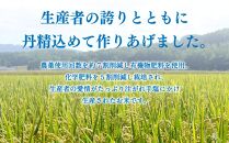 特別栽培米 ゆめぴりか 玄米 30kg 令和6年産_00236 【ご飯 ごはん 米 お米 北海道産 旬  特A 旭川市 北海道 送料無料 】