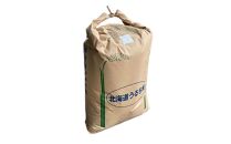 イエスクリーン米 ななつぼし 玄米 30kg 令和5年産_00217