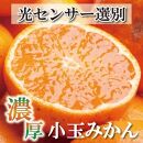 家庭用 小玉な有田みかん4.5kg+135g（傷み補償分）訳あり＜11月より発送＞