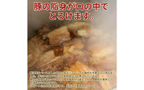 【福岡市】豚角煮まん 10個セット