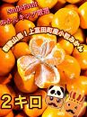 【先行予約】小粒みかん2Kg　高糖度！みかんの里！【SmileFruitみかんキング厳選】2024年10月下旬以降順次発送