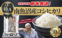 【新米発送】  令和6年産 新潟県 南魚沼産 コシヒカリ お米 5kg×2袋 計10kg 精米済み（お米の美味しい炊き方ガイド付き） お米 こめ 白米 新米 こしひかり 食品 人気 おすすめ 送料無料 魚沼 南魚沼 南魚沼市 新潟県産 新潟県 精米 産直 産地直送 お取り寄せ