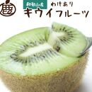 ＜11月より発送＞家庭用 キウイフルーツ3.5kg+105g（傷み補償分）【わけあり・訳あり・扁平果】