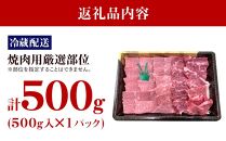 【復興支援】【A4・A5】能登牛 焼肉用厳選部位 500g