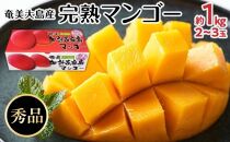 【2025年発送】奄美大島産　完熟マンゴー 約1キロ（2～3玉）