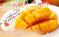 【2026年発送】奄美大島産　完熟マンゴー&nbsp;約1キロ（2～3玉）【果物&nbsp;マンゴー&nbsp;くだもの&nbsp;食品&nbsp;農家直送&nbsp;フルーツ&nbsp;飲料&nbsp;果汁飲料&nbsp;ドリンク&nbsp;季節限定&nbsp;先行予約&nbsp;鹿児島県&nbsp;奄美大島&nbsp;瀬戸内町】