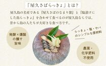 【屋久島のソウルフード】屋久さばらっきょ 計260g