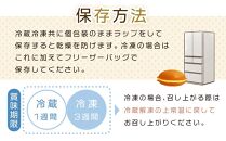 【一番人気「プレーン」一択】老舗どら焼き20個セット  人気 和菓子 どら焼き 長野県 大町市
