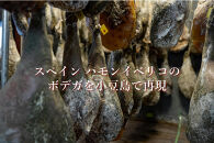 国産生ハム 小豆島発酵ハム 19か月以上発酵熟成【骨付き原木1本】