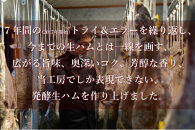 国産生ハム 小豆島発酵ハム 19か月以上発酵熟成【骨付き原木1本】