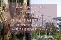国産生ハム&nbsp;小豆島発酵ハム&nbsp;19か月以上発酵熟成【骨付き原木1本】6kg以上｜ハム&nbsp;おつまみ&nbsp;サラダ&nbsp;ギフト&nbsp;肉&nbsp;豚&nbsp;豚肉&nbsp;香川&nbsp;香川県&nbsp;小豆島&nbsp;土産&nbsp;お土産&nbsp;お取り寄せ