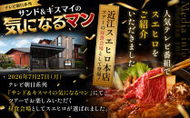 近江スエヒロ本店　近江牛合挽ハンバーグ4食セット&nbsp;