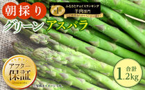 【先行予約】朝採り&nbsp;グリーンアスパラ&nbsp;M～2L&nbsp;1.2kg&nbsp;(2026年5月下旬発送開始予定)&nbsp;【&nbsp;アスパラ&nbsp;アスパラガス&nbsp;朝採り&nbsp;とれたて&nbsp;野菜&nbsp;旬&nbsp;小分け&nbsp;保存&nbsp;産直&nbsp;産地直送&nbsp;お取り寄せ&nbsp;旭川市&nbsp;北海道&nbsp;】_01705