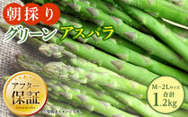 【先行予約】朝採り&nbsp;グリーンアスパラ&nbsp;M～2L&nbsp;1.2kg&nbsp;(2026年5月下旬発送開始予定)&nbsp;【&nbsp;アスパラ&nbsp;アスパラガス&nbsp;朝採り&nbsp;とれたて&nbsp;野菜&nbsp;旬&nbsp;小分け&nbsp;保存&nbsp;産直&nbsp;産地直送&nbsp;お取り寄せ&nbsp;旭川市&nbsp;北海道&nbsp;】_01705