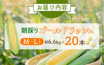 【26年先行予約】朝採り&nbsp;とうもろこし&nbsp;ゴールドラッシュ&nbsp;約6.6kg&nbsp;(M～Lサイズ×20本)(2026年8月中旬発送予定)&nbsp;【&nbsp;人気&nbsp;北海道産&nbsp;糖度&nbsp;生&nbsp;野菜&nbsp;スイートコーン&nbsp;産地直送&nbsp;バーベキュー&nbsp;BBQ&nbsp;コーン&nbsp;旬&nbsp;お取り寄せ&nbsp;旭川市&nbsp;北海道&nbsp;】_01708