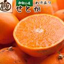 ＜2月より発送＞家庭用 せとか2kg+60g（傷み補償分）【柑橘・春みかんの王様】【わけあり・訳あり】【光センサー選別】