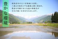 【R7年産】金賞 南魚沼産新之助 白米5kg×2 きらめく大粒！ ひらくの里ファーム