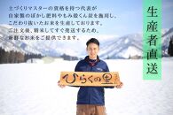 【R7年産】金賞 南魚沼産新之助 白米5kg×2 きらめく大粒！ ひらくの里ファーム