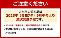 【令和7年産新米予約】南魚沼産コシヒカリ 白米5kg ひらくの里ファーム【2025年9月中旬より順次発送予定】